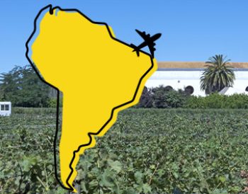 Focus on South America: Argentina to Ecuador