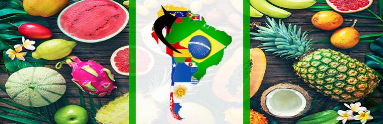 Focus on South America: Bolivia to Venezuela