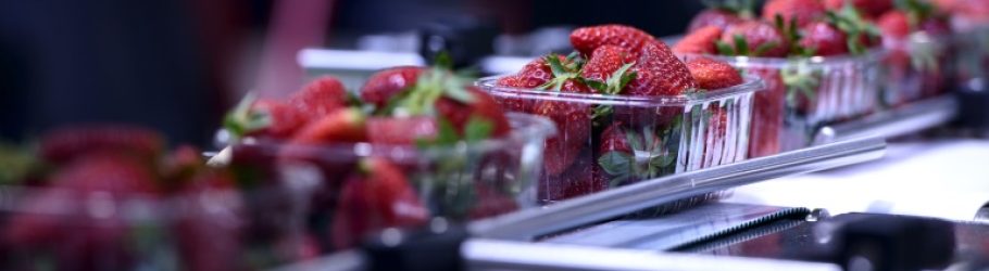 Tackling the Problem of Food Waste