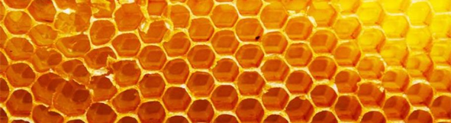 First Spanish Honey Exporter is Kosher Certified by KLBD